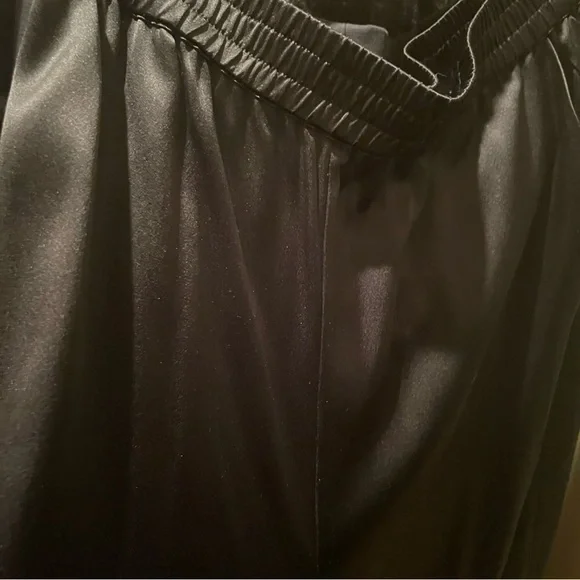 Anine Bing Romy Wide Leg Silk Pants MEDIUM, Never Worn, Orig $300 - Picture 10 of 11